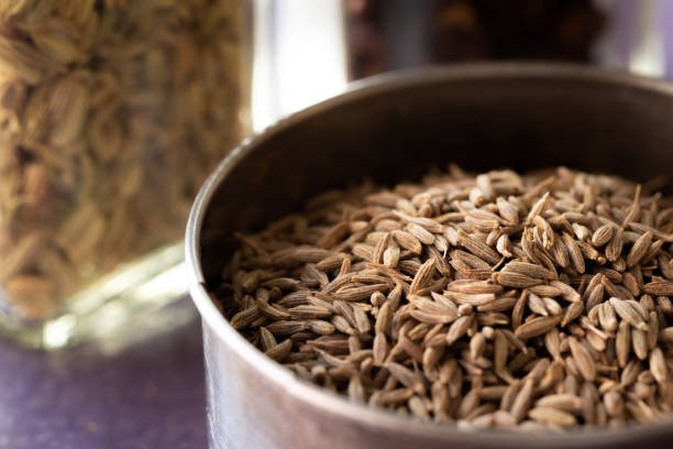 Cumin seeds in a bowl. Commonly used cumin spice in cuisines around the world.